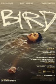 VER Bird Online Gratis HD