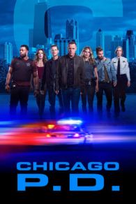 VER Policías de Chicago Online Gratis HD