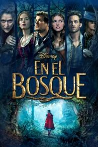 VER Into the Woods (2014) Online Gratis HD