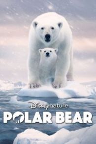 VER Polar Bear Online Gratis HD