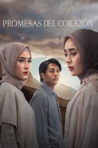 VER Promesas del corazón Online Gratis HD