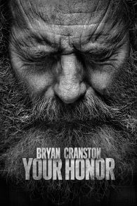 VER Your Honor Online Gratis HD