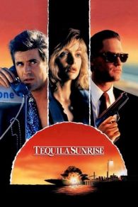 VER Traición al amanecer (1988) Online Gratis HD