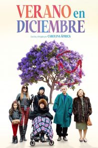 VER Verano en diciembre Online Gratis HD
